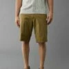 AE Flex 12" Longer Length Lived-In Khaki Short -AMERICAN EAGLE Sales 0135 7330 238 of