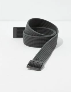 AEO Ribbed Web Belt
